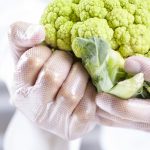 Hybrid Disposable Gloves