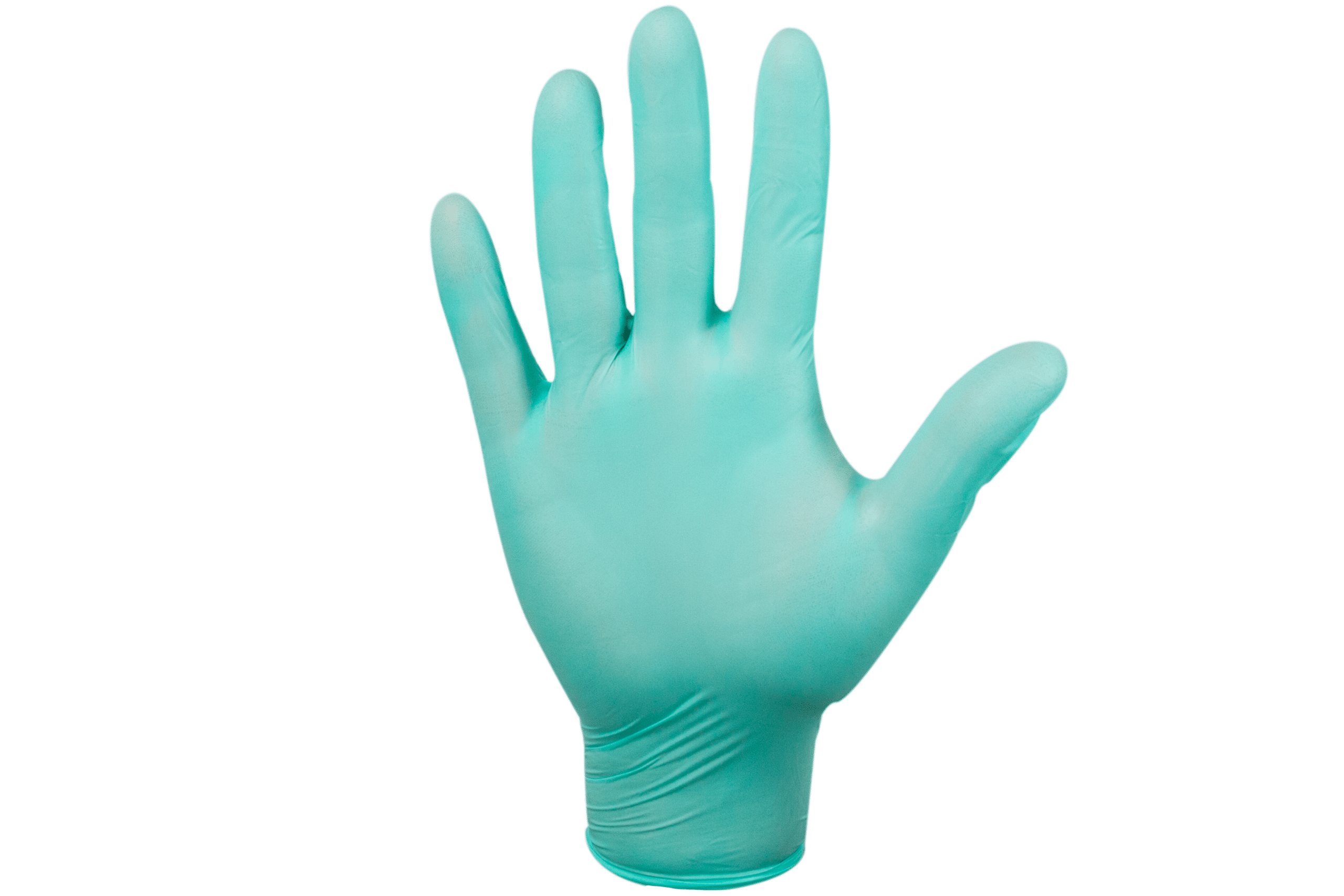 Which Type of Gloves are Best for Food Service: Ultimate Guide