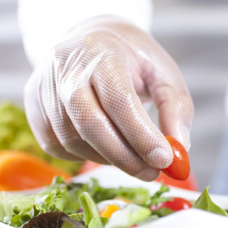 Product Catalog Handgards® First in Food Safety Innovations
