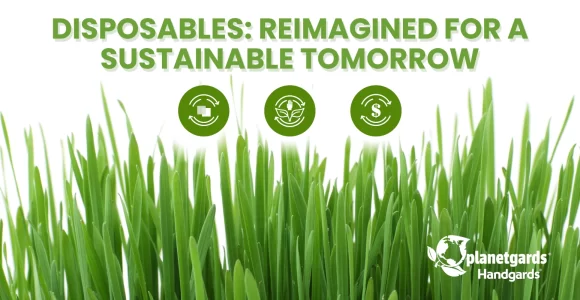 Disposables, Reimagined for a Sustainable Tomorrow